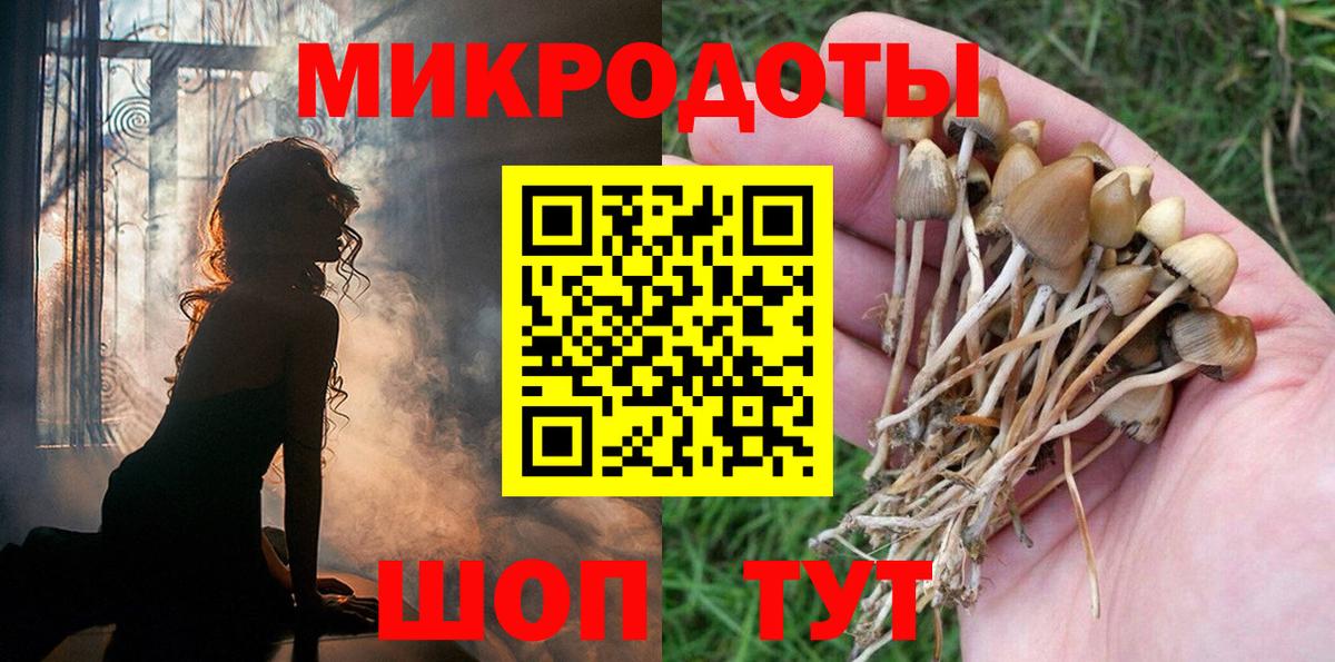 Псилоцибиновые грибы прущие грибы Соликамск