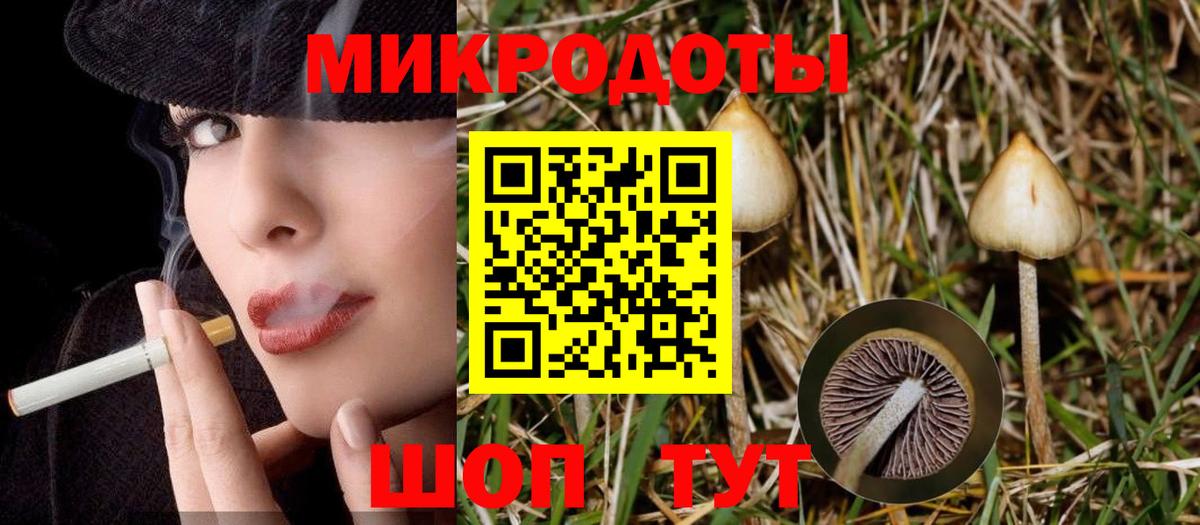 Соликамск  Галлюциногенные грибы Magic Shrooms  Вход с VPN  Псилоцибиновые грибы Psilocybe 